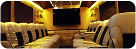 The Executive Coach