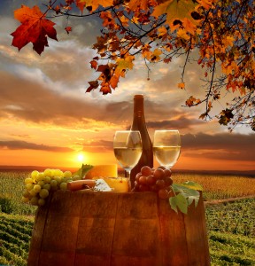  Plan a Fall Getaway to Visit Michigan's Wineries/Vineyards 